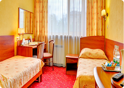 Yuzhniy Hotel twin-standart