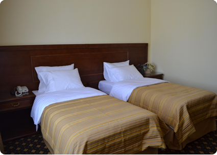 hotel Volgograd twin